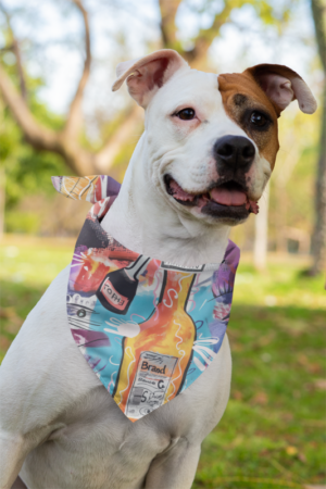 Pet Bandana - Image 3