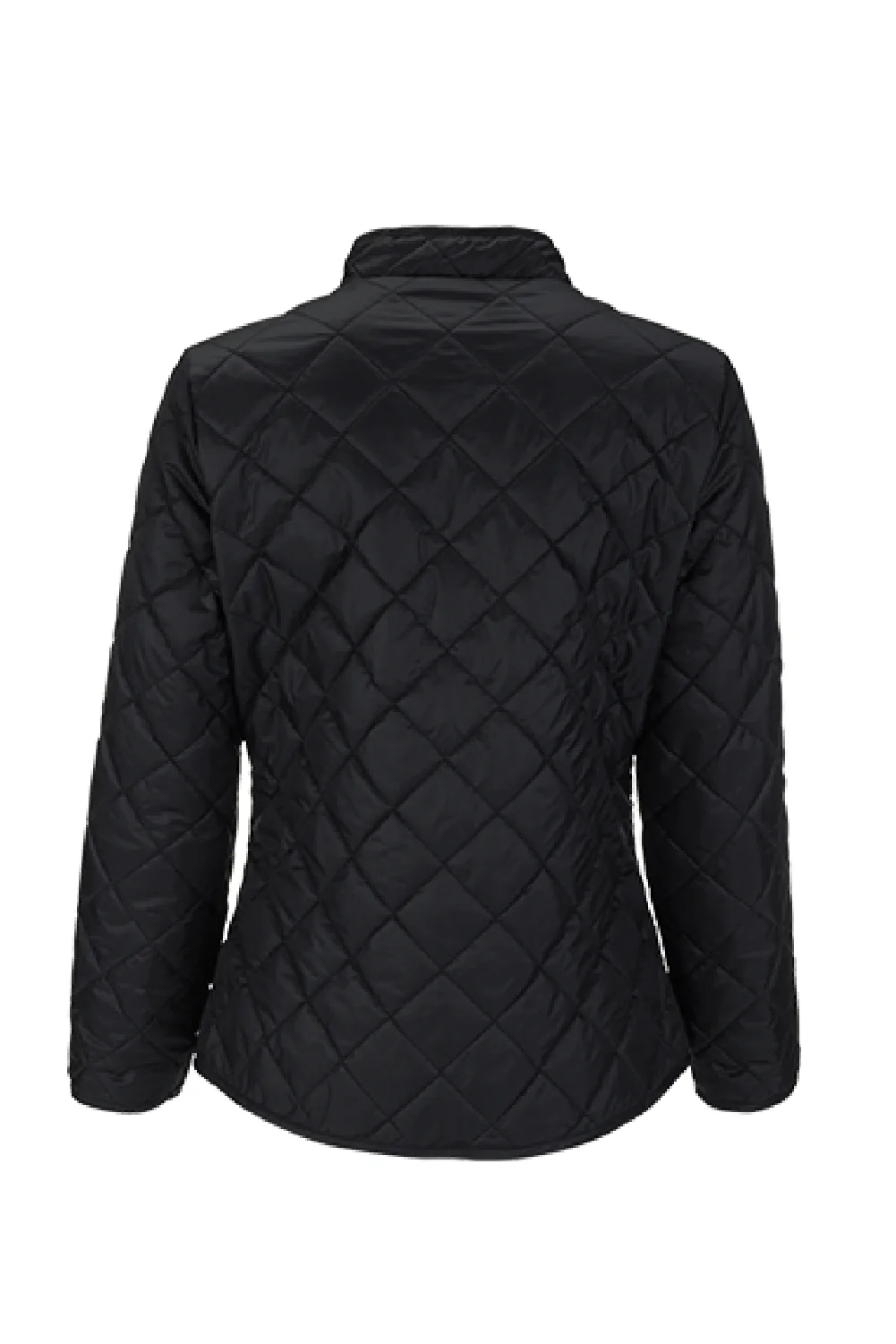 Women's Everett Bomber Jacket - Image 4